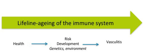 RELENT-Lifeline-ageing of the immune system